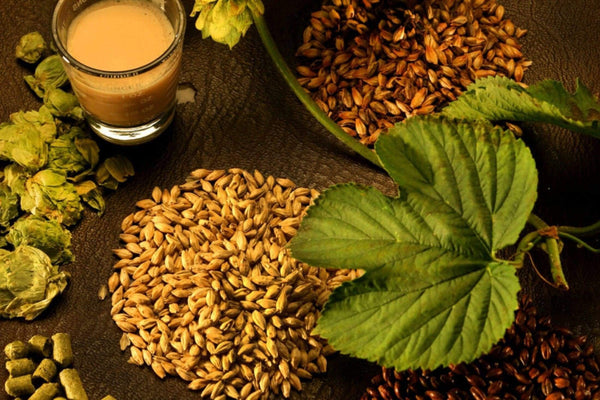 Crea tu cerveza artesanal