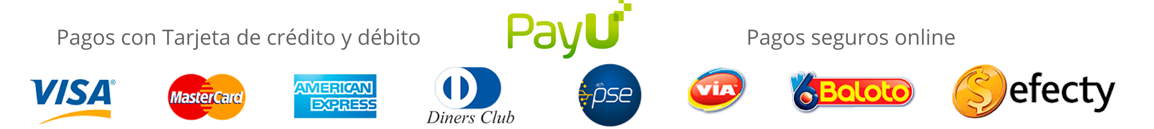 Pagos seguros Online